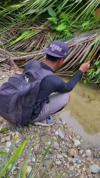 Mancing disungai air pegunungan lagi🤤 #86  #KOOKIKO