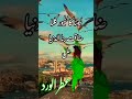 ليتنا كالطيور فى السماء حالات واتس 2023 ليتنا كالطيور فى السماء حالات واتس 2023