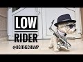 Low rider cover by ogi the champ