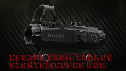 Escape from Tarkov Scopes/Sights bug