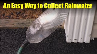 An Alternative to the Rain Barrel