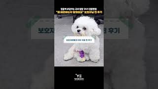 예은동물의료센터 리얼 후기