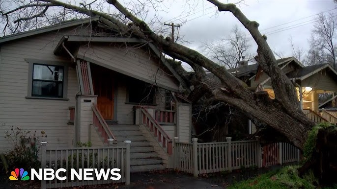 California Storm Brings Down Trees Across Sacramento