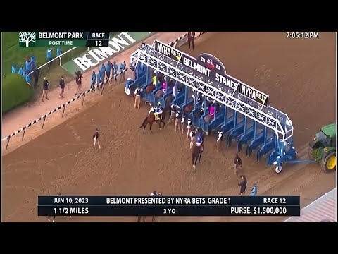 The Grade 1 Belmont Stakes 2023 - Race Replay