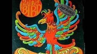 Video thumbnail of "Beautiful Scarlet - Rare Bird"