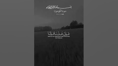 «الم تكن اياتي تتلي عليكم وكنتم بها تكذبون» اجمل تلاوه للشيخ ياسر الدسري🥺