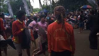 Janturan terakhir ebeg sekar budaya live srowot grumbul kencit kec Kalibagor kab Banyumas