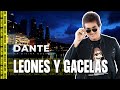 Leones Y Gacelas - La Divina Noche de Dante Gebel