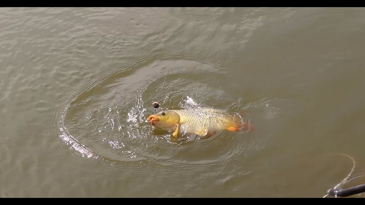 "RAWAL DAM FISHING 2025 🎣 | HUGE CATCHES & HIDDEN SPOTS!" 