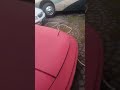 Old Mazda collection