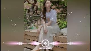 Dj Salting Remix🎵 EDM Thai Music Remix🇹🇭 Addictive Thai Tik Tok Hot Music 2024