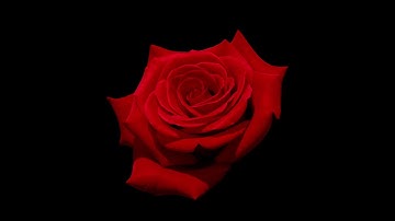 Chase Baird Improvisation on "Tale as Old As Time" from Disney