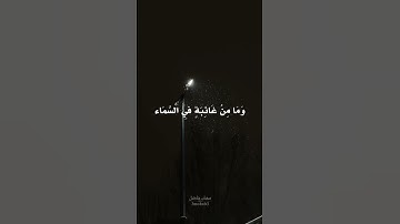 سورة | النمل🕊🤍#quran #قرأن_كريم #قرآن_كريم #اسلام_صبحي #3mohab3