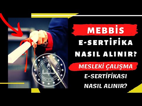 MEB MESLEKİ ÇALIŞMA
