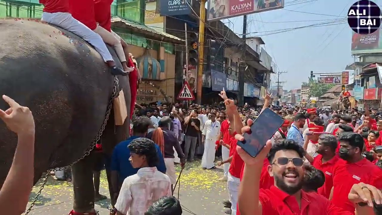 പട്ടാമ്പി നേർച്ച ഫെസ്റ്റ് 2025 pattambi nercha fest kodiyettam eliphant rali