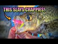 This is a Killer Winter Crappie Lure - Big Bite Baits Lindner Panfish Special
