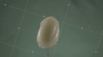 Cashew rotating with loop on green screen for chroma key