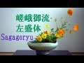 【生け花】嵯峨御流の基本花態★左盛体【ikebana】一種生け