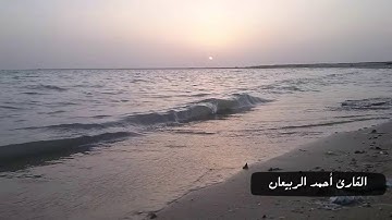 القارئ أحمد الربيعان حائل