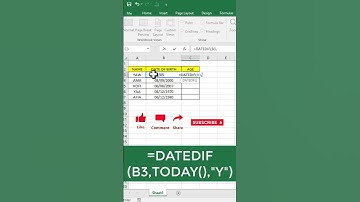 How to Calculate Age in Excel or VBA | Simple & Accurate Formula Tutorial #excelforbeginners