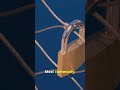Fixed vs Floating Charge: What’s the Difference (Part 2) #finance #education