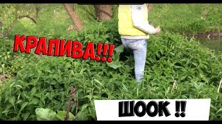 ХОДИМ ПО БОЛОТАМ! ХОДИМ ПО БОЛОТАМ!