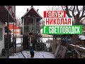 Николаевские голуби у Николая г. Светловодск | Украина