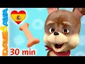 🐕  La Canción de Bingo y Más Canciones Infantiles | Videos para Bebés | Dave and Ava en Español 🐕