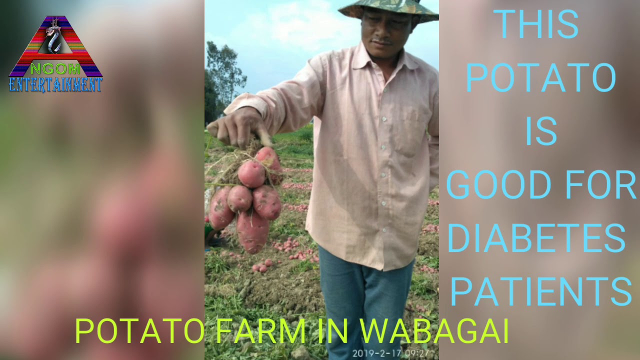 Benefit of Red potatoes Goodness for diabetes control YouTube