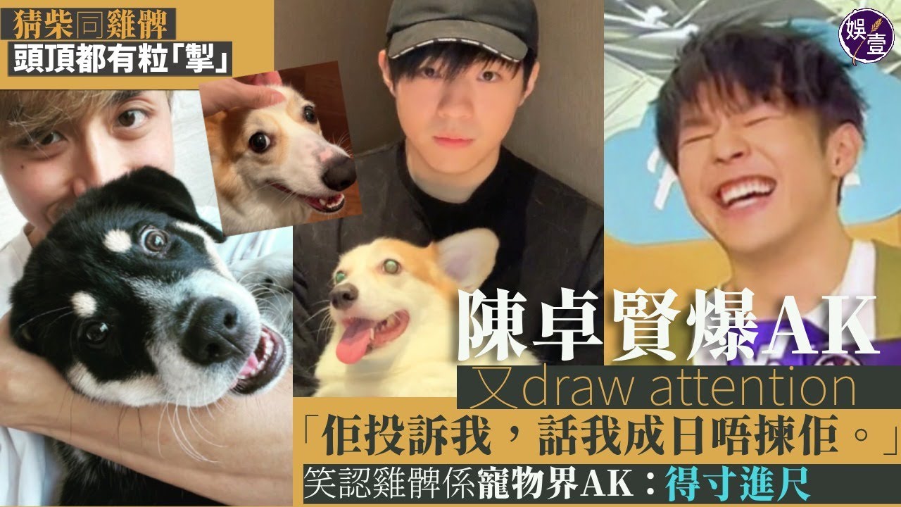 Ian陳卓賢足本訪問︱自爆不能裸睡：唔着衫會瞓唔到︱爆Anson Kong又求關注：佢投訴我，話我成日唔揀佢︱雞髀係寵物界AK：人哋都唔理佢喇，都仲要得寸進尺（ 