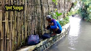 Hunting for Big Eels at the Jember City River Dispot with Joki Jack