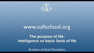 The purpose of life (part 5) | By Shaykh Hamid Hassan