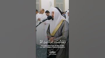 تلاوة خاشعة ~ الشيخ أحمد النفيس