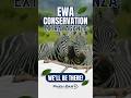 We’re proud to be part of this amazing event! #exoticwildlifeassociation #wildlifeconservation