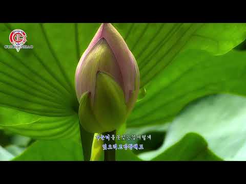 너의 향기-고은미(가사포함)