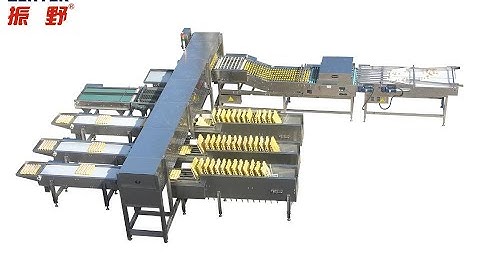 ZENYER 107 egg grader 20000 eggs/hour