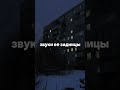 тгк: lilassqw #music #музыкаонлайн #трек #музыка #lyrics_songs