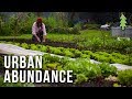 Organic urban farming on a 12acre property  urban abundance