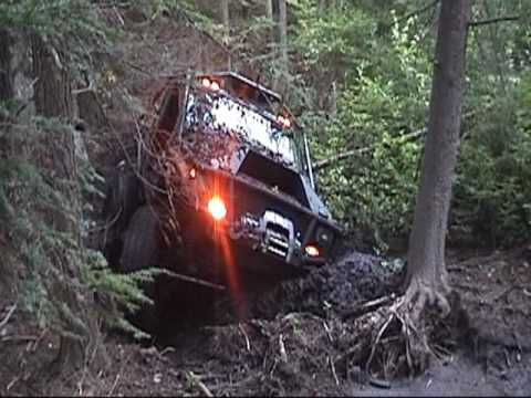Jeep cherokee "darwin" in the woods - high quality