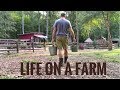 Life On A Farm - Morning & Evening Chores - Our Daily Homestead Routine