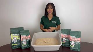 How to Use Your New Litter Box Deodorizer