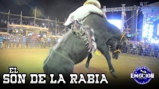 EL SON DE LA RABIA - BANDA 466 PASO A PASO (Estudio 2015)