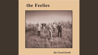 Video thumbnail of "The Feelies - On The Roof"