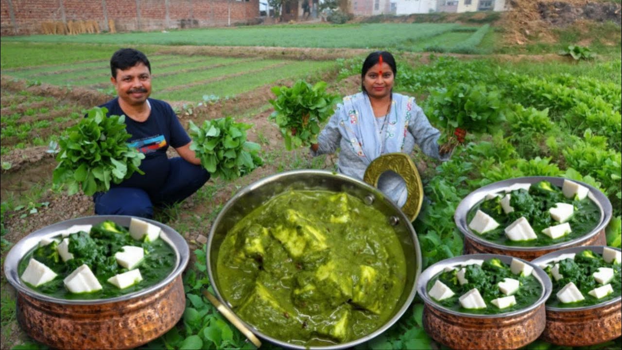 पंजाब के खेतों से पालक तोड़कर आज बनाएंगे पालक पनीर इस तरह से बनाओगे तो हर कोई तारीफ करके ही जाएगा🥰