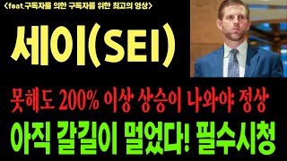 [세이][세이코인][세이코인전망][SEI][BTC]코인전망 비트코인 이더리움 도지코인 시바이누 페페코인