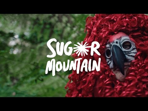 SUGAR MOUNTAIN 2016: LINE-UP