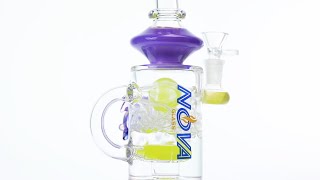 Nova Gl 10 Inch Showerhead Perc With Turtle Decorate Gl Water Pipe