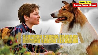 Kisah Anjing Yang Tidak Mau Berpisah Dengan Pemiliknya | Alur Cerita Film Lassie Come Home (2020)