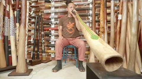 jesse lethbridge didgeridoo   key of D(web code 5386)