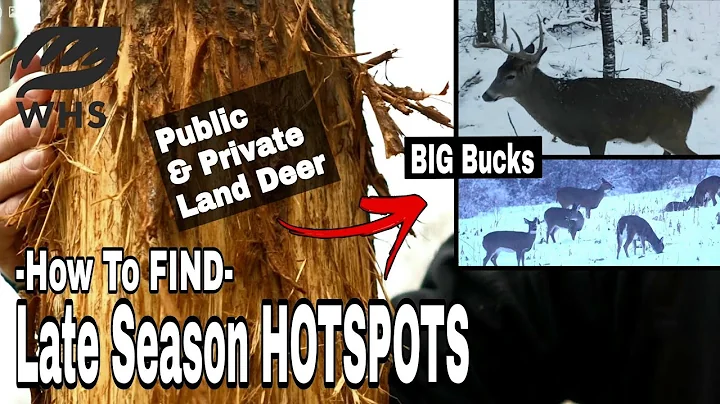 How To Find Late Season Big Buck Hotspots